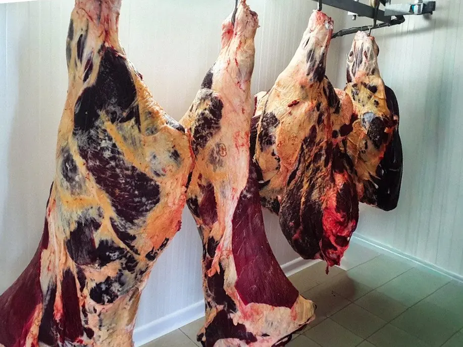 Beef sides dry-ageing in the cold room